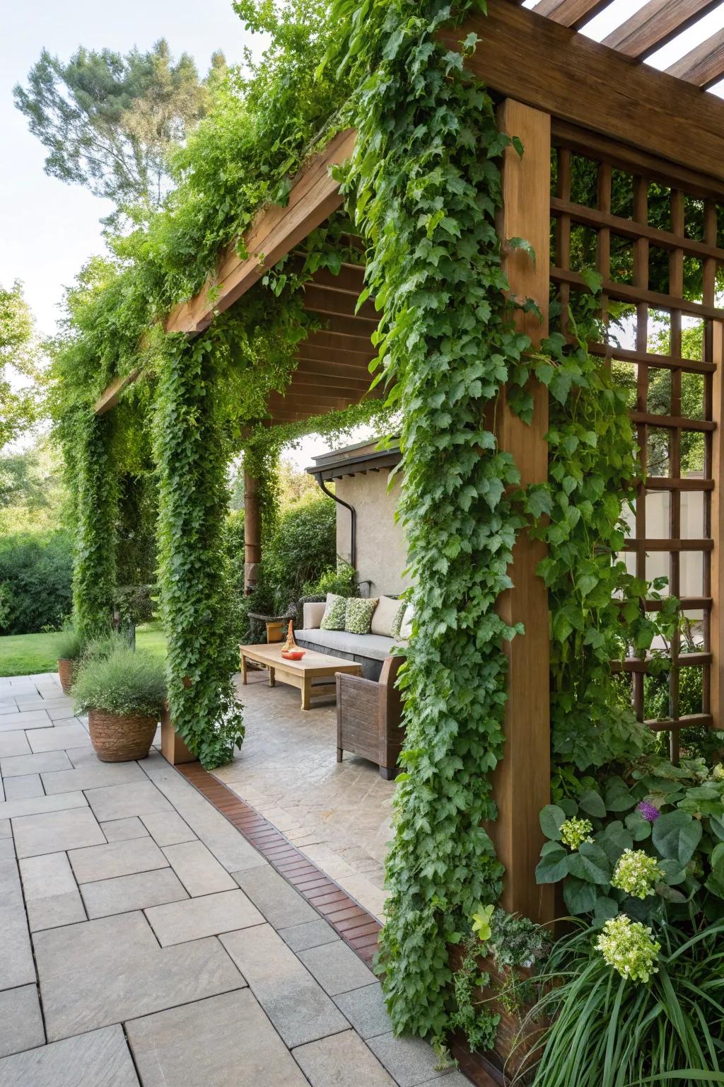 Verdant wall trellises introduce rich greenery to every setting.