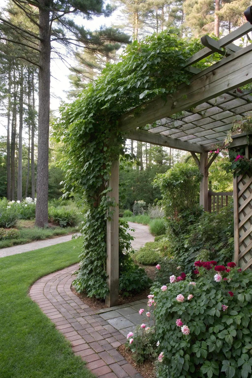 An arbor featuring climbing plants creates a secluded, shaded getaway.