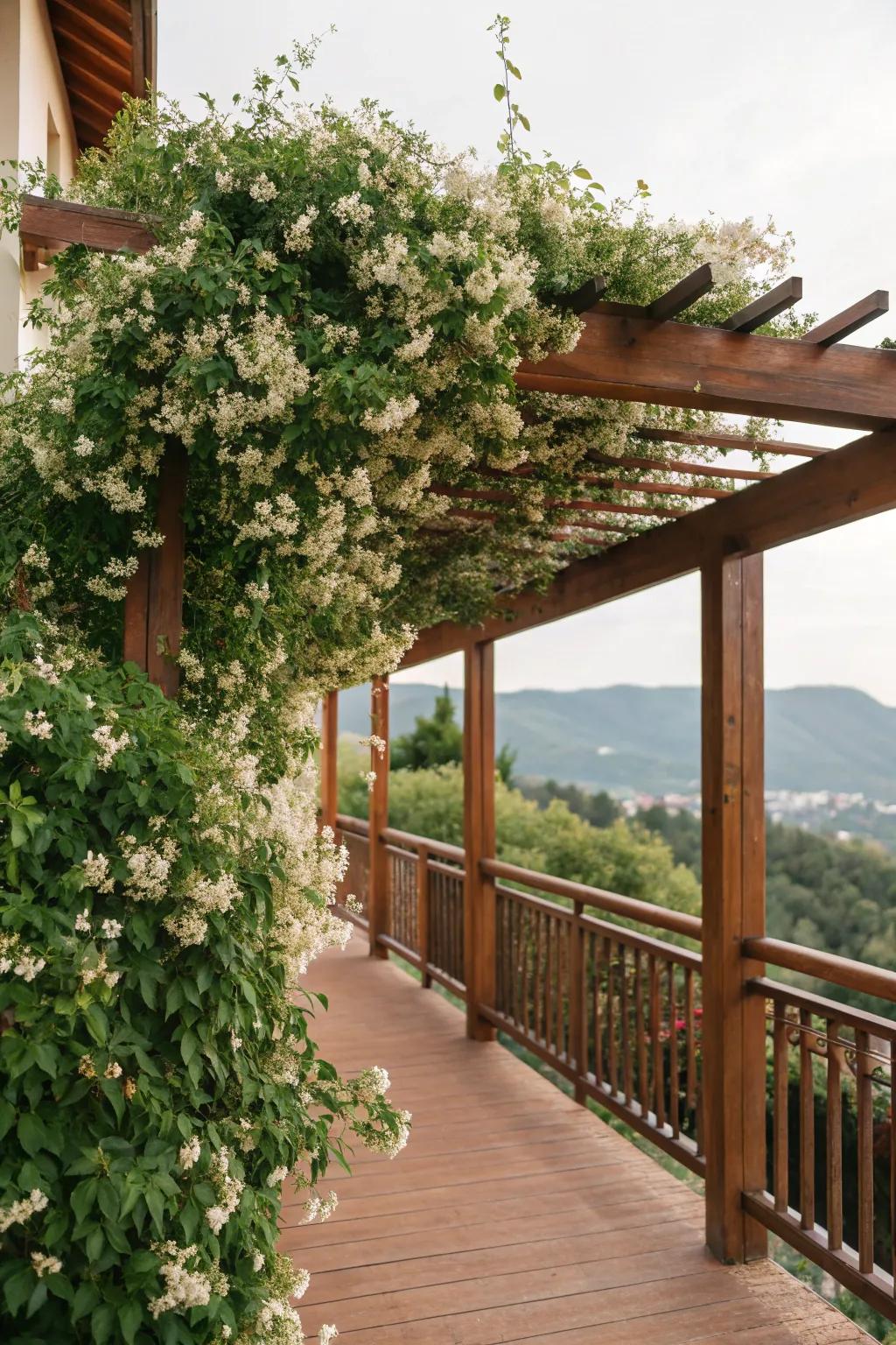 A pergola adorned with climbing vines presents a natural canopy.