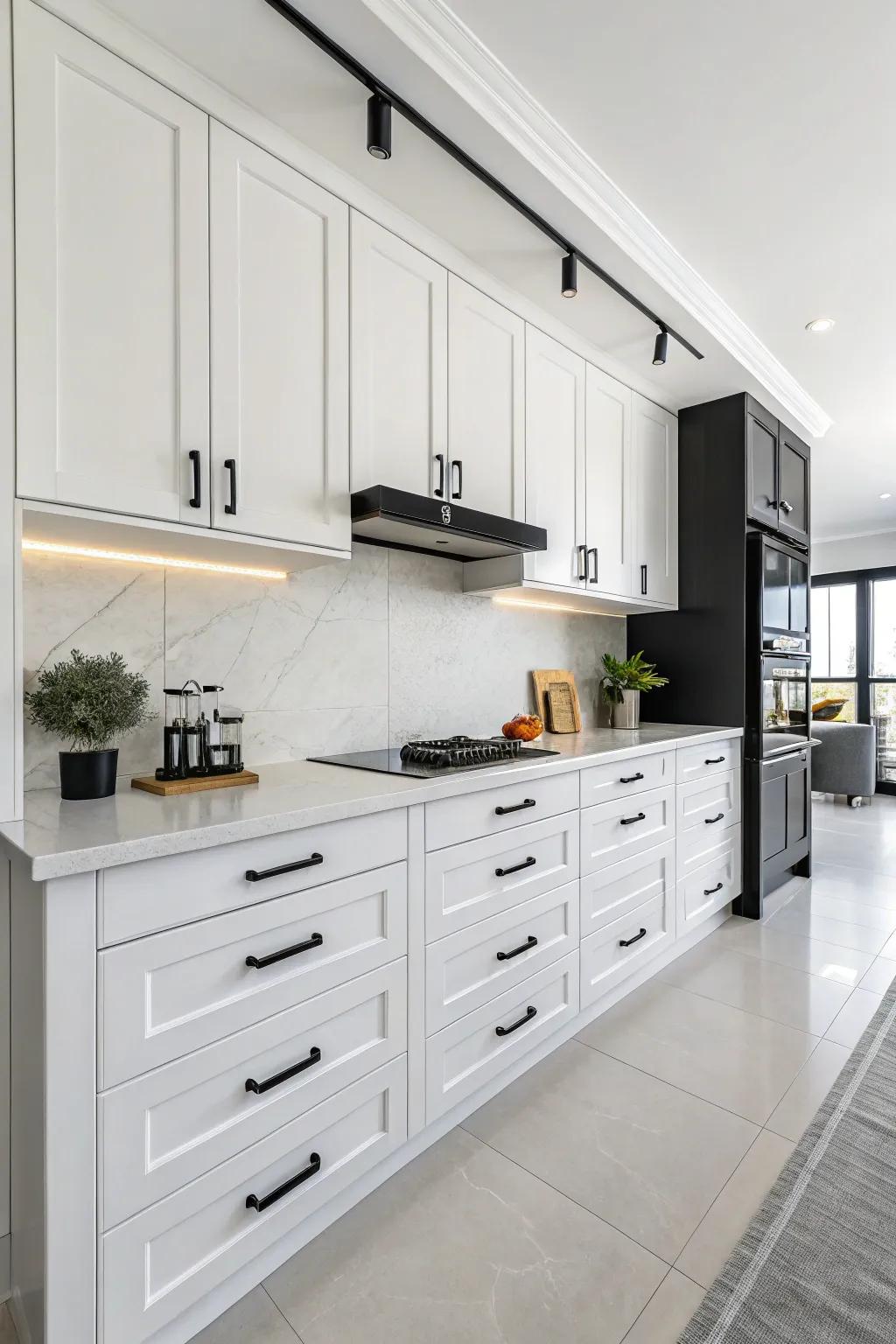 A modern culinary space displaying a remarkable contrast through jet-black fixtures.