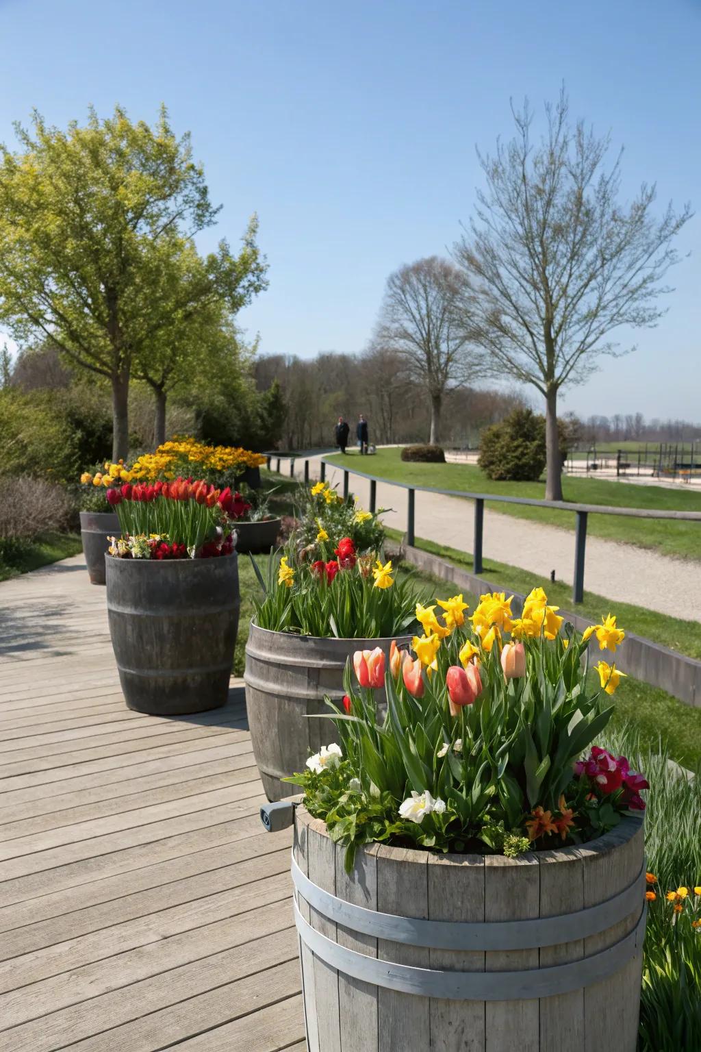 Seasonal flowers bringing freshness to plant pot gardens.