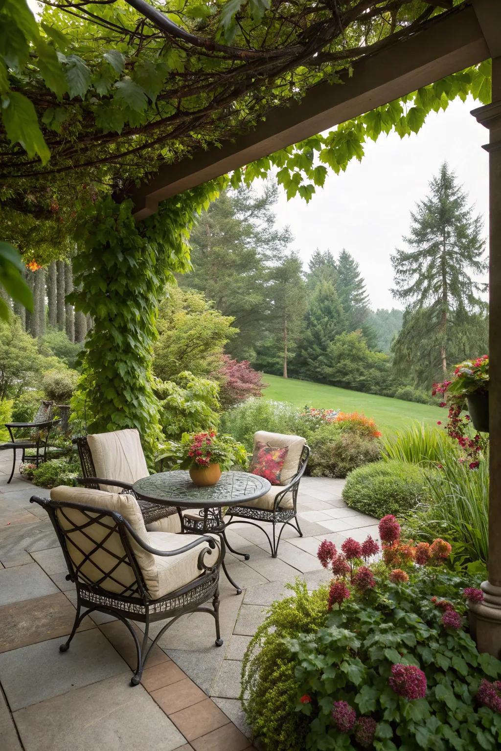 Greenery brings life and tranquility to your patio.