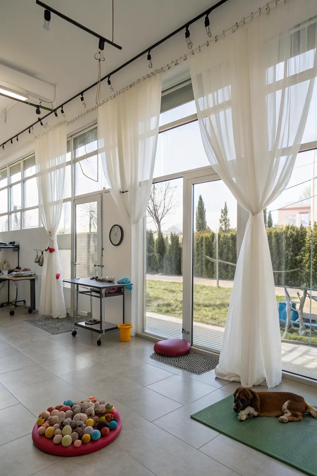 Daylight maximized through large windows and sheer curtains.