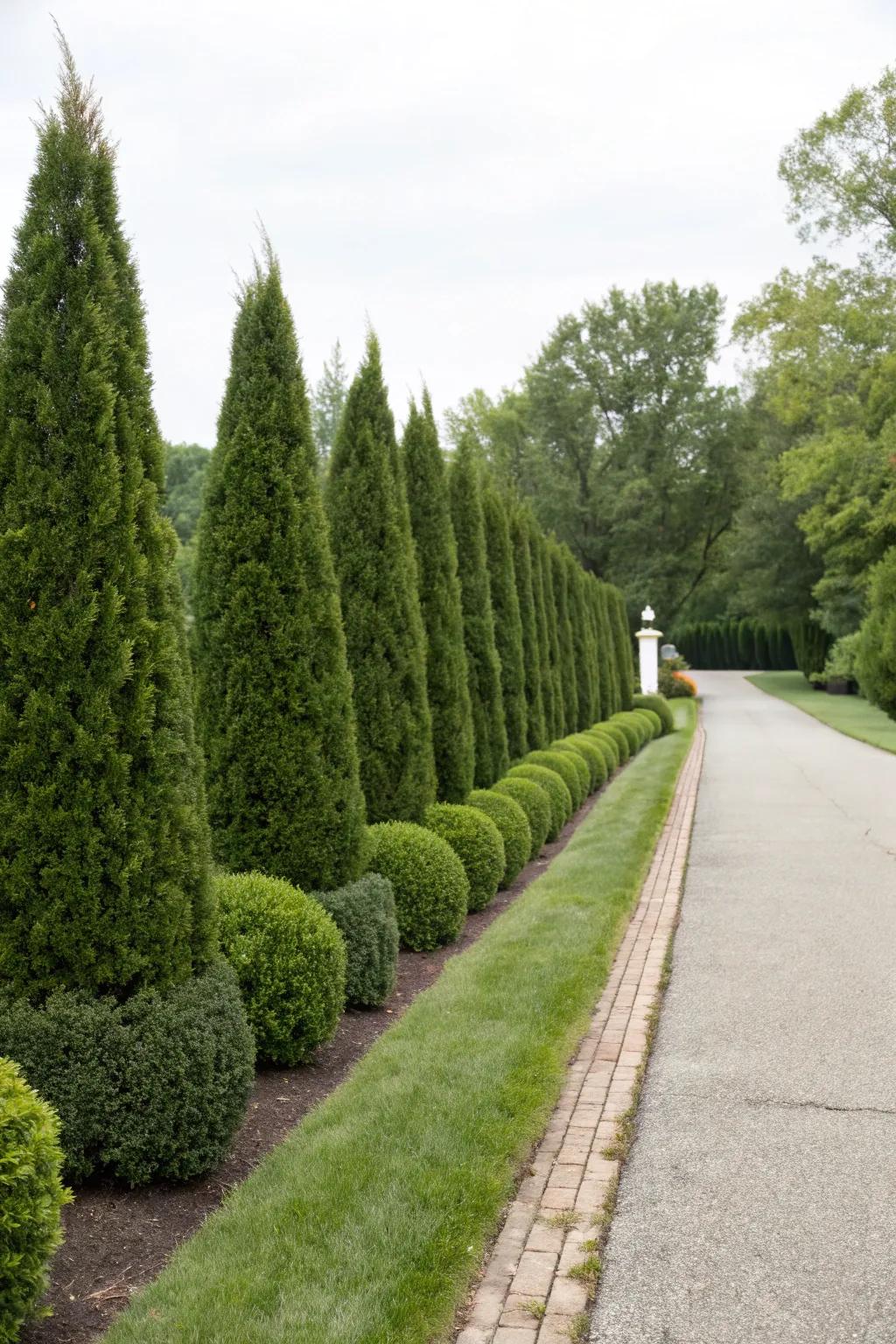 Persistent verdant bushes ensure consistent foliage and structure.