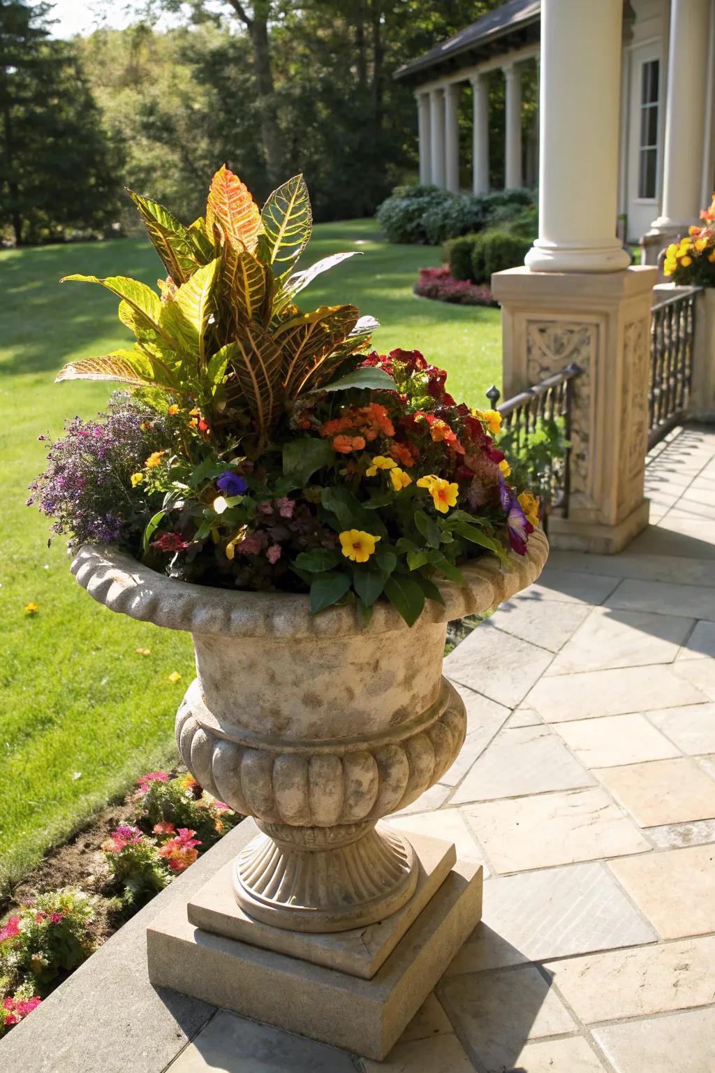 Daring colors with Croton and violas in an autumnal container.