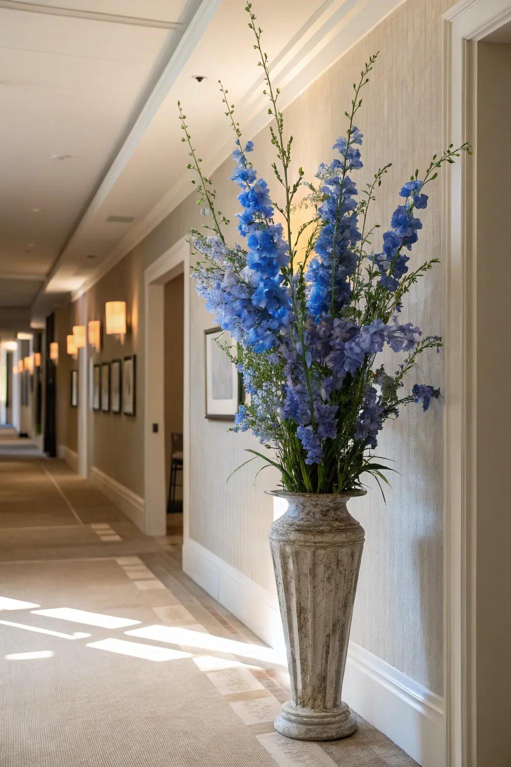 Elevated delphinium stems impart elegance to a hallway.
