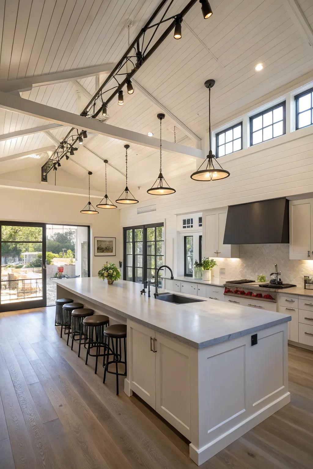 Overhead rail lighting results in a bright, practical cooking area.