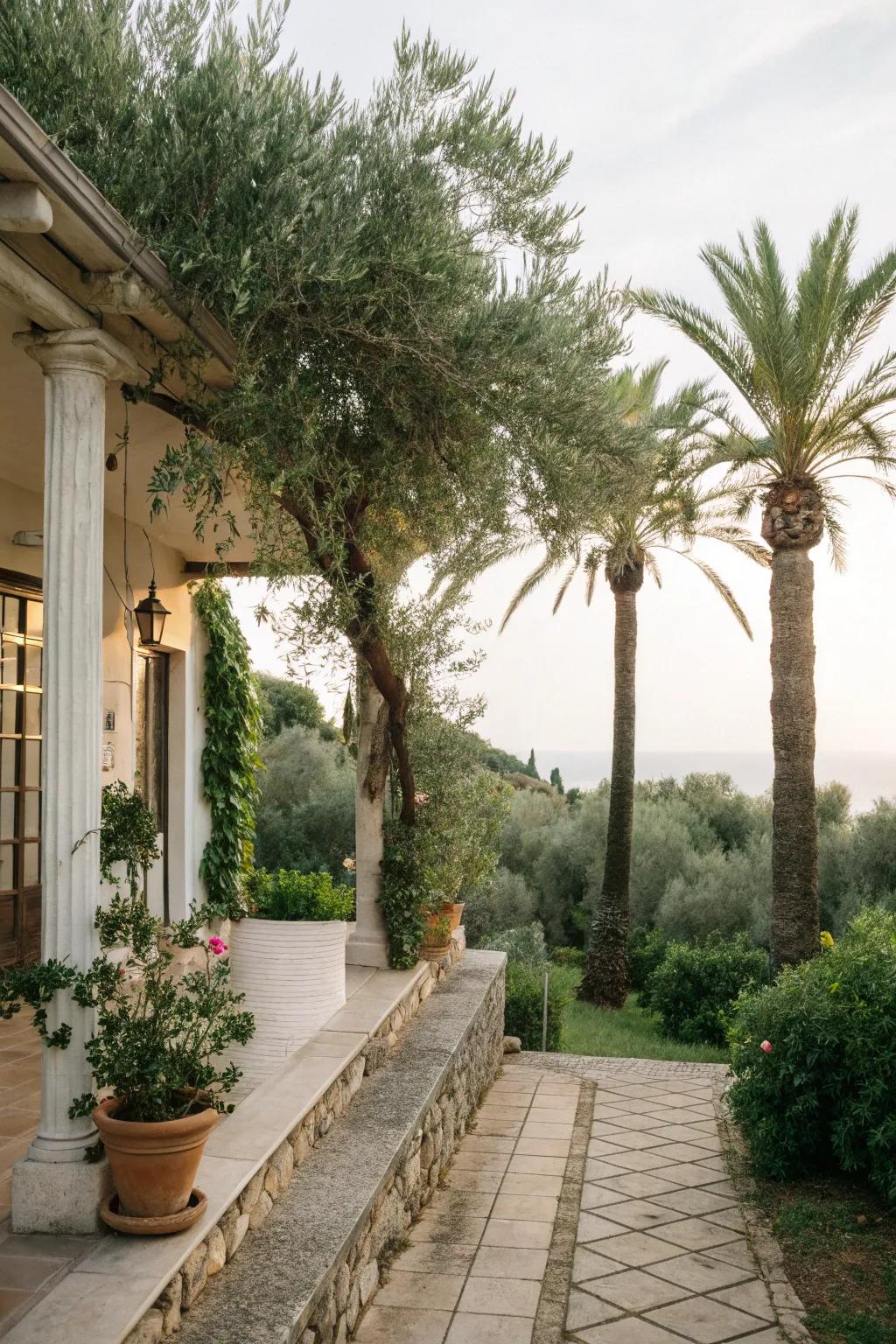 Verdant plants providing a peaceful and organic ambiance.