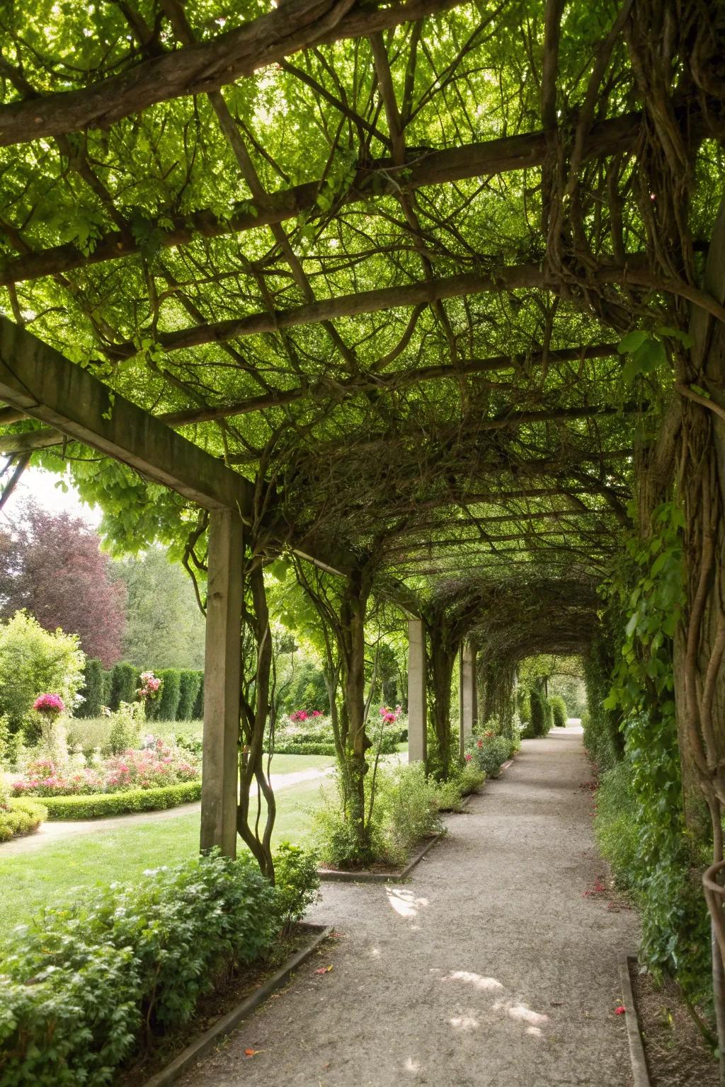 Vine-covered trellises merge beauty with practicality.
