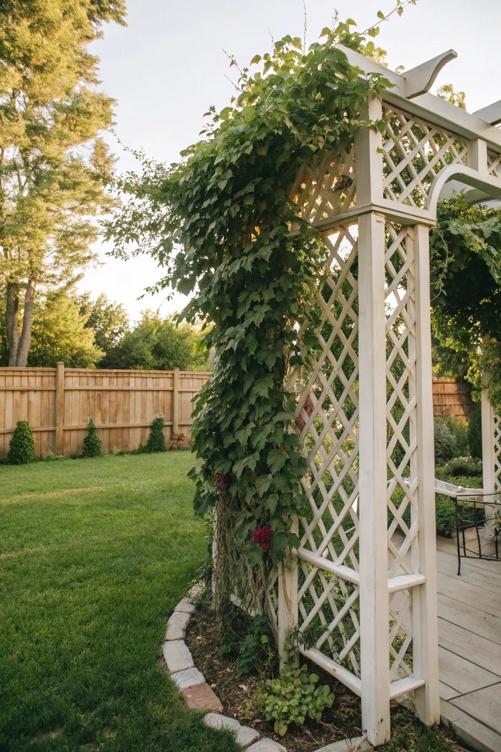 A lattice design enhances the grounds with climbing flora.