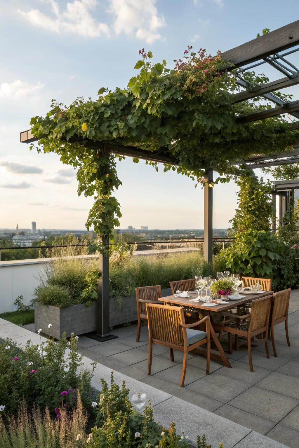 A pergola grants stylish shade for torrid, sunny days.