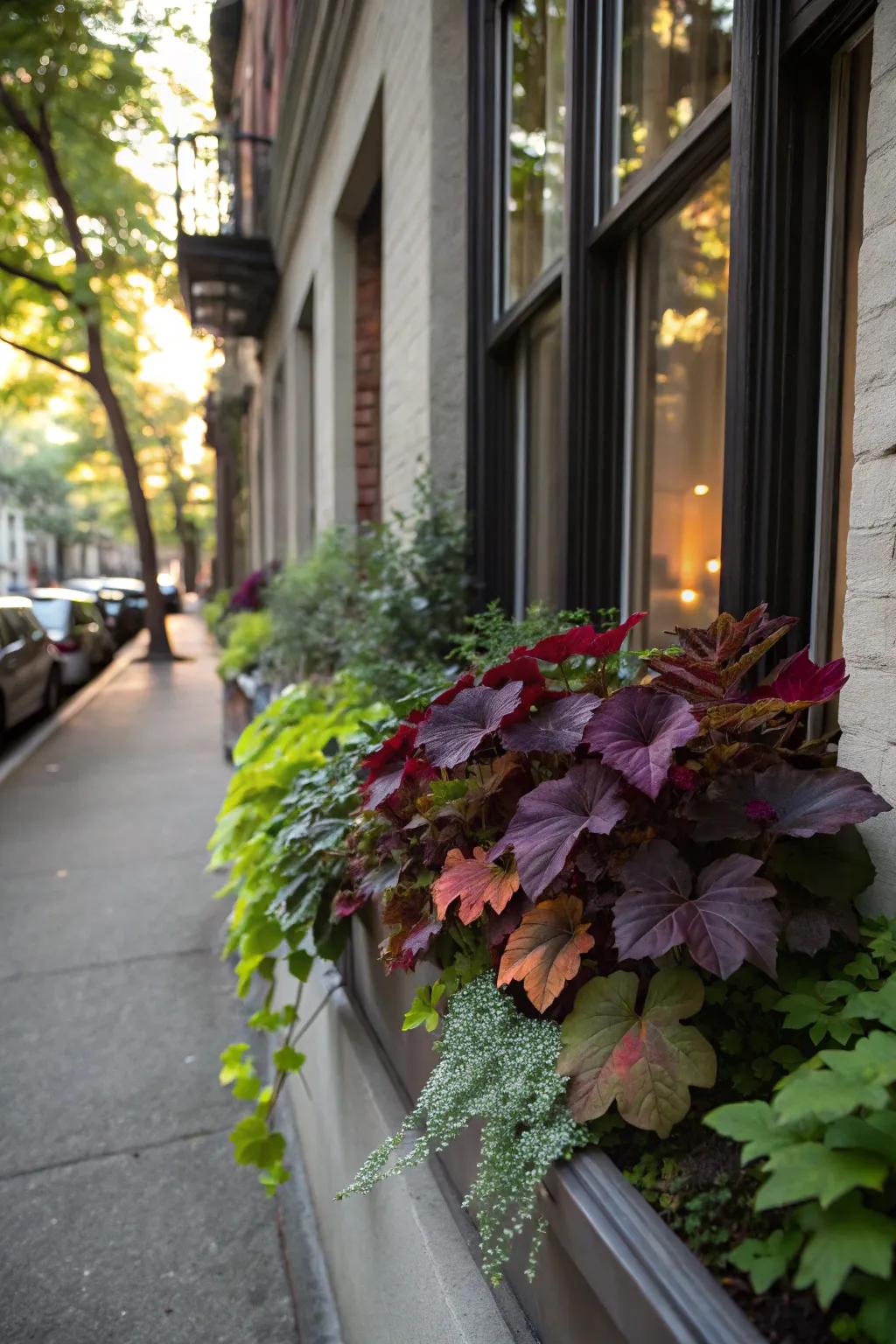Heuchera's rich foliage enriches any display.