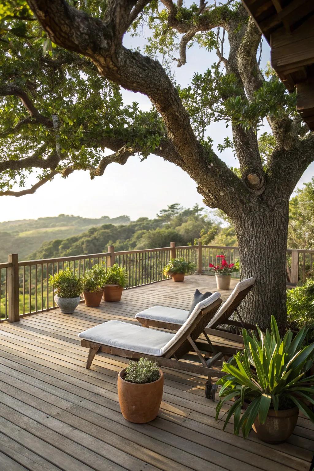A deck encircling the tree amplifies your outdoor lifestyle.