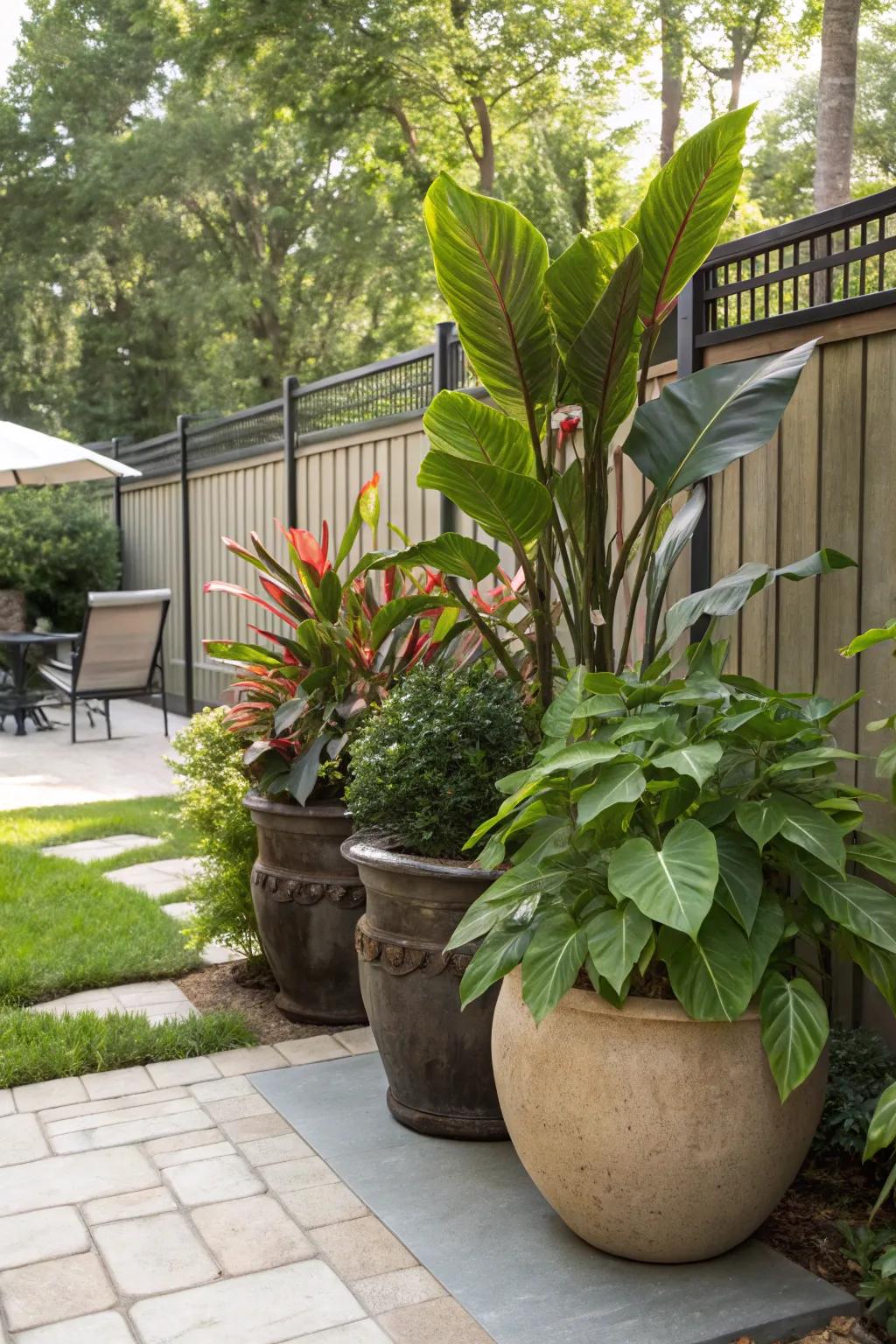 Potted flora propose modifiable and verdant seclusion resolutions.