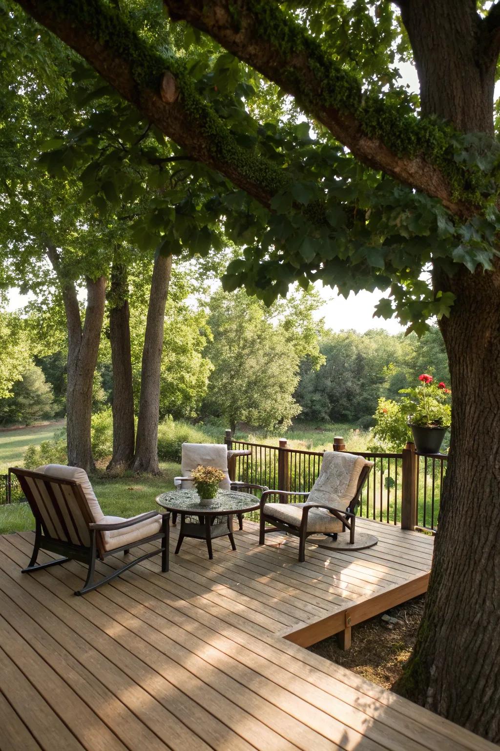 Natural shade from trees crafts a serene and environmentally friendly deck setting.