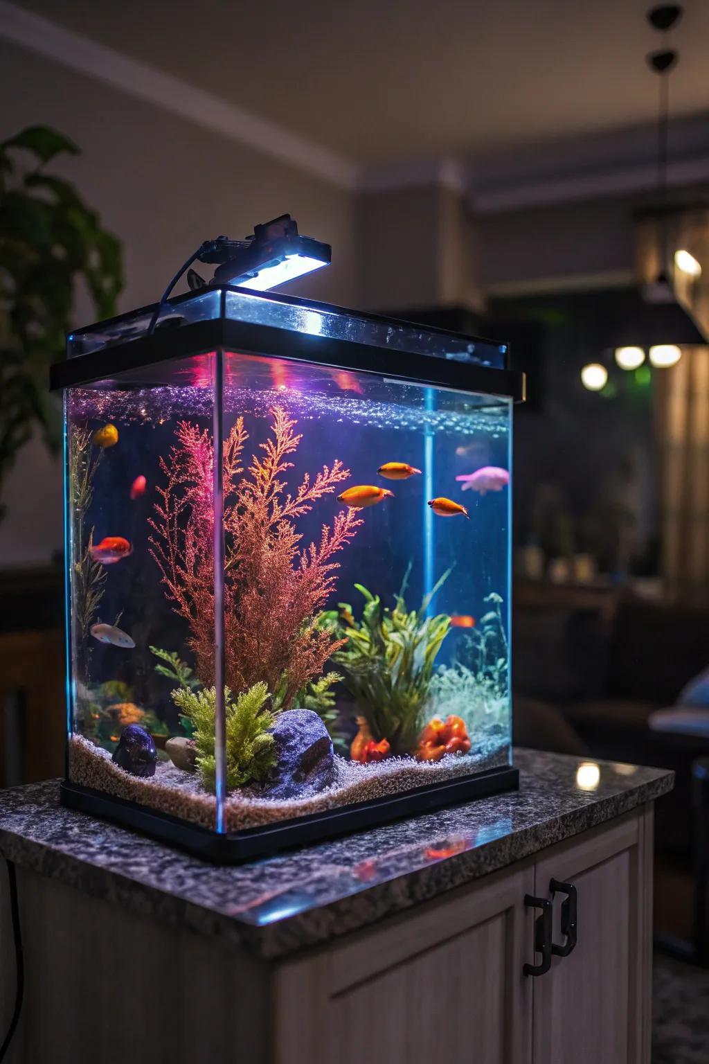 Alluring illuminated effects for a magical aesthetic