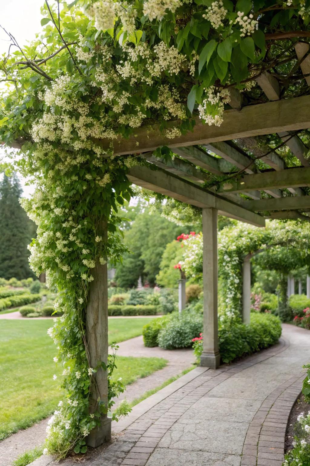 Craft a fragrant sanctuary using stargazer-draped pergolas.