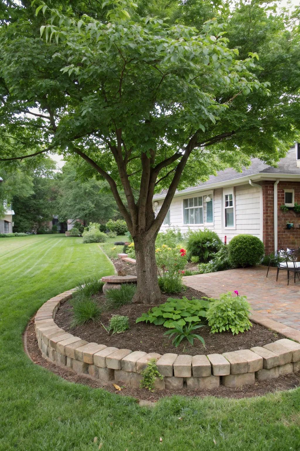 A tree with a distinct border of bricks, presenting a neat and structured aesthetic.