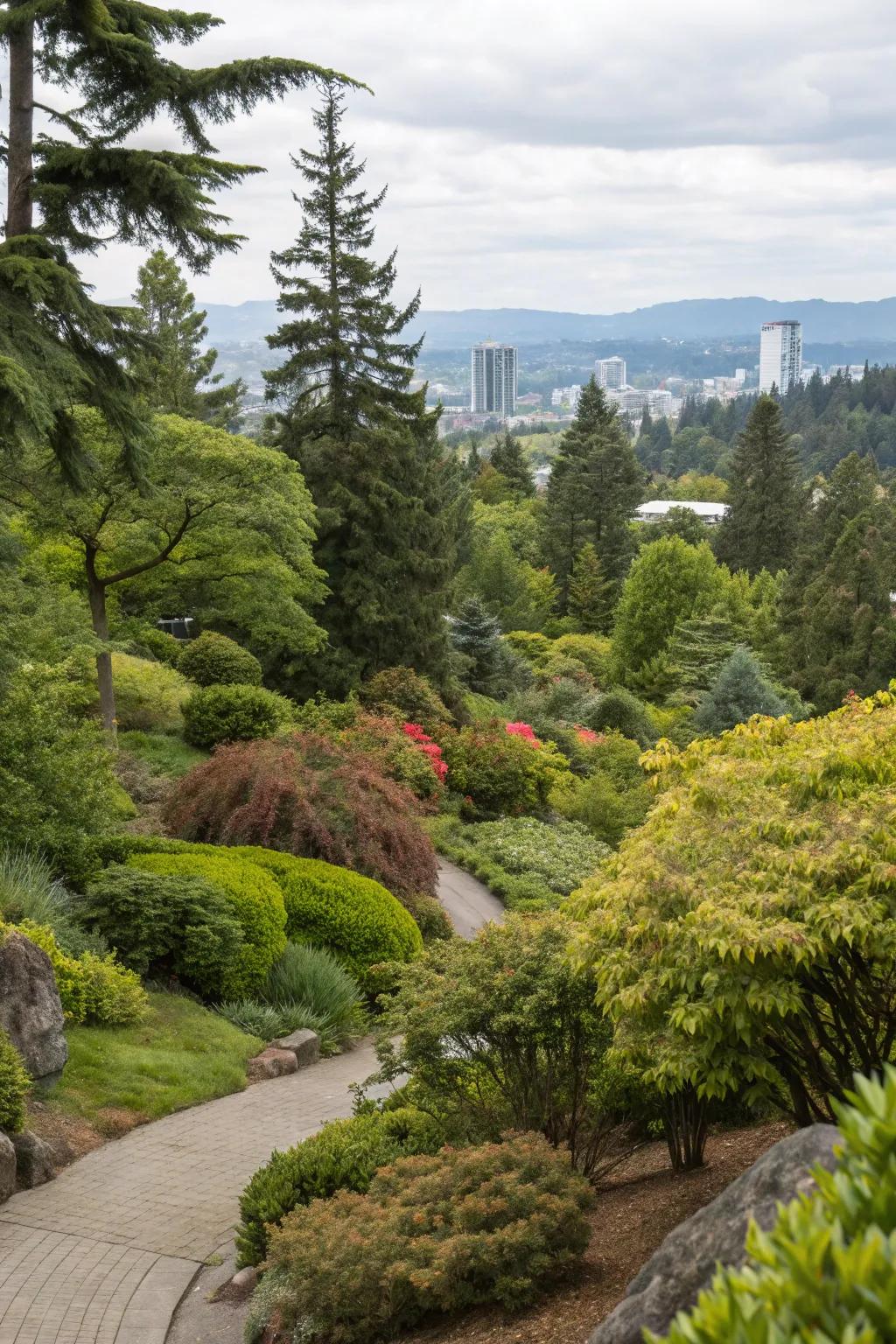 Evergreen shrubs and trees supply enduring verdancy in a Portland garden.