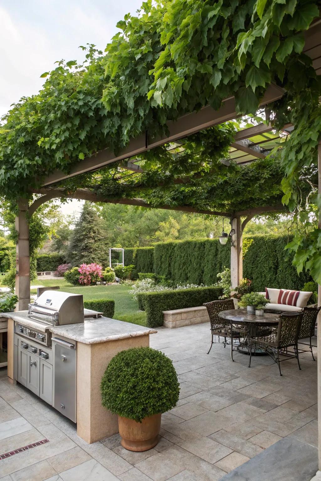 Verdant oasis showcasing a pergola enveloped in climbing vines.