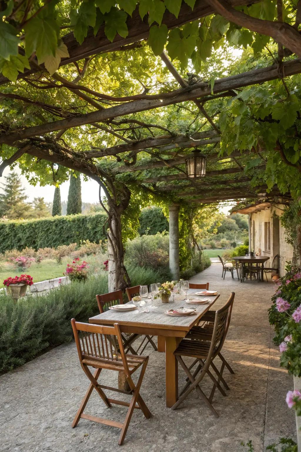 A feasting area beneath an enchanting verdant pergola.