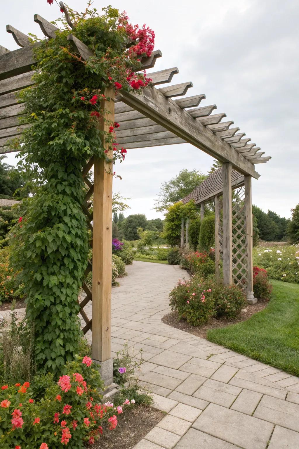 Trellis integration engenders a dynamic, vibrant design.