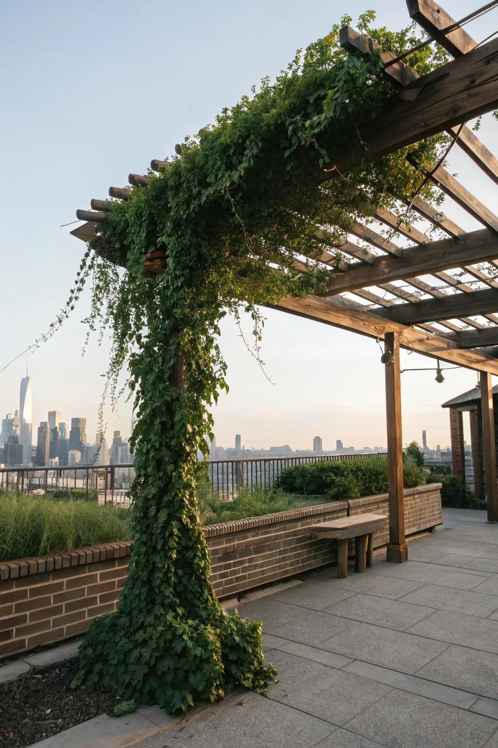 Incorporate refinement and shade using a beautifully conceived pergola.