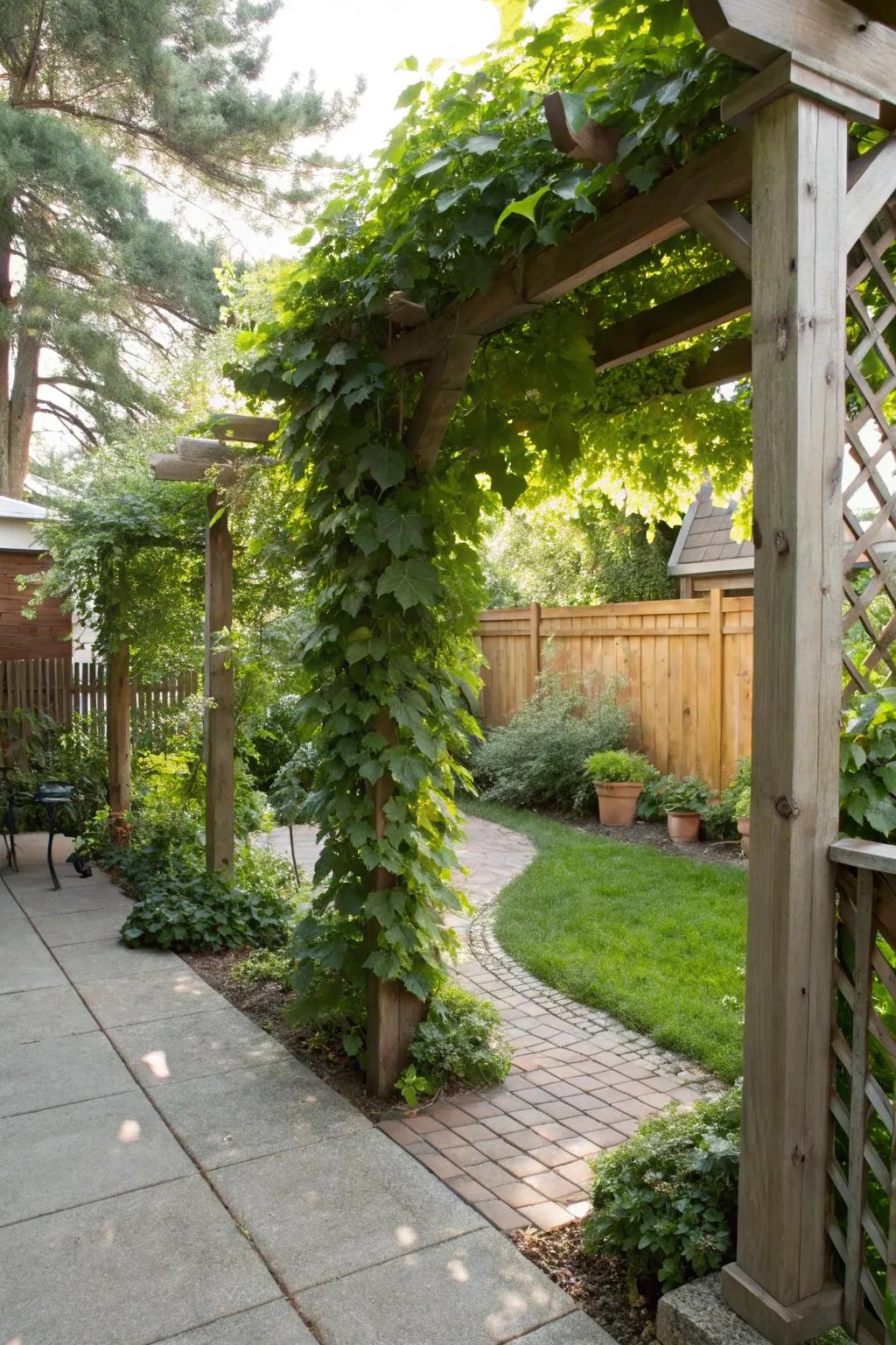 Frameworks amplify height and verdure without encroaching on ground space.