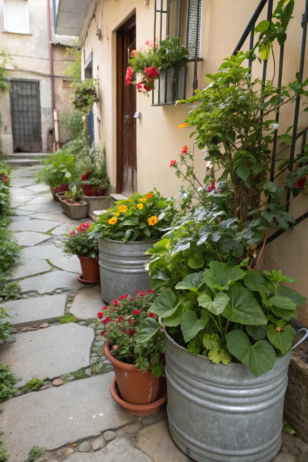 Recycled containers make distinctive and budget-friendly flora containers.