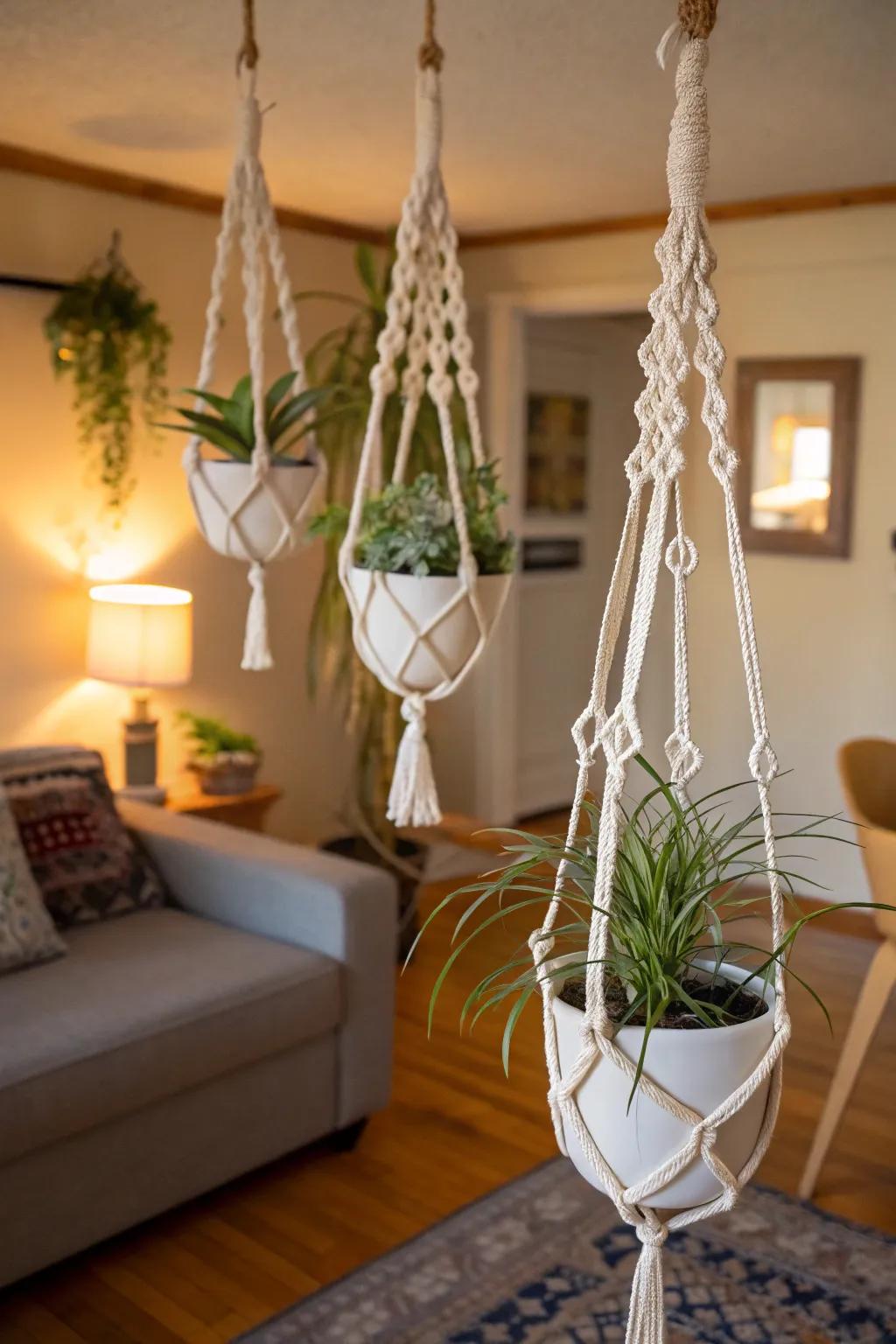 Macrame displays append a bohemian element to air plant presentations.