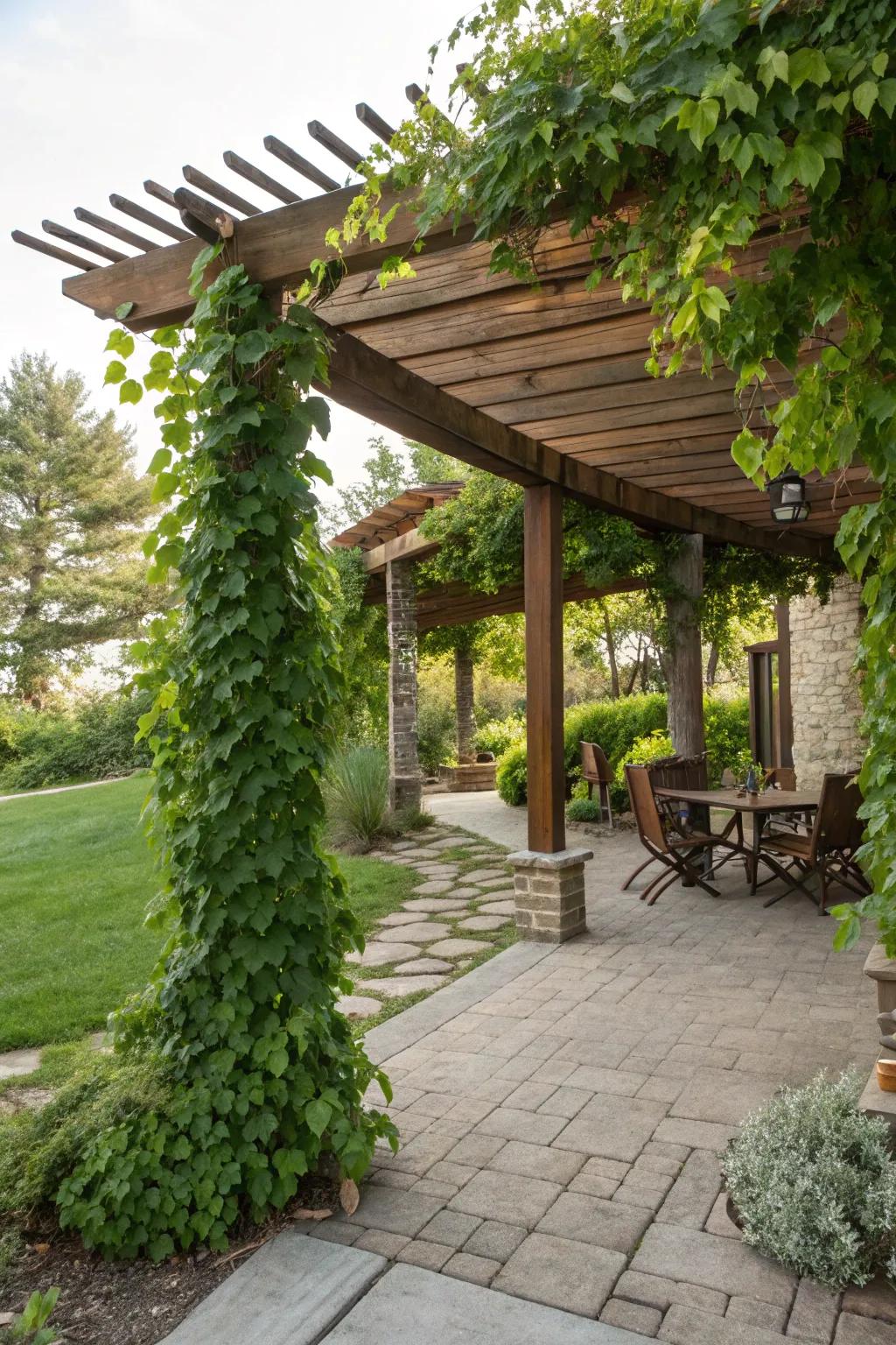 A pergola adds structure and shade.