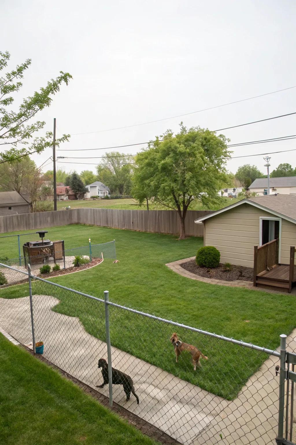An expansive layout enabling dogs the independence to explore safely.