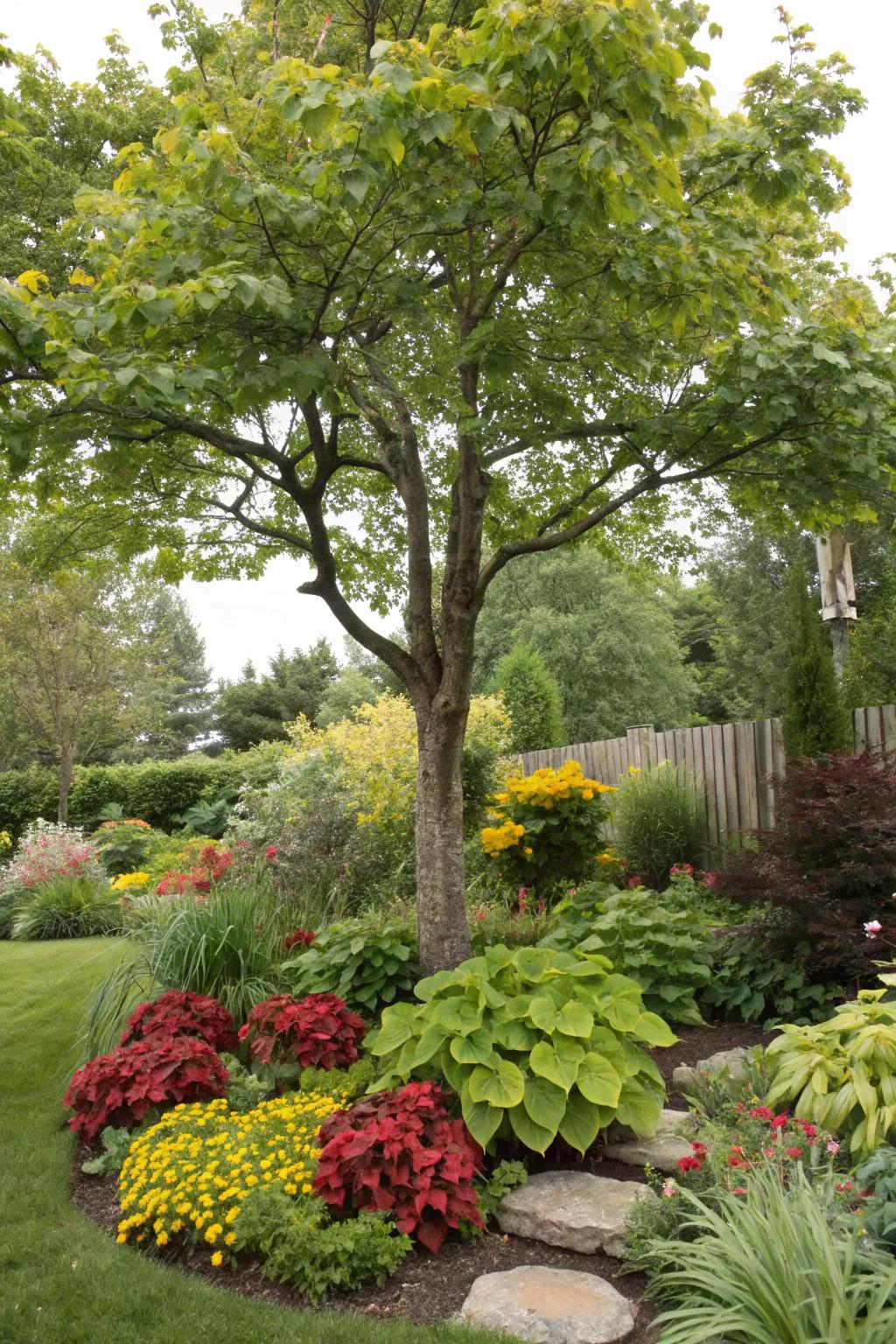 A tree surrounded by a diverse medley of plants, introducing texture and color to the garden.