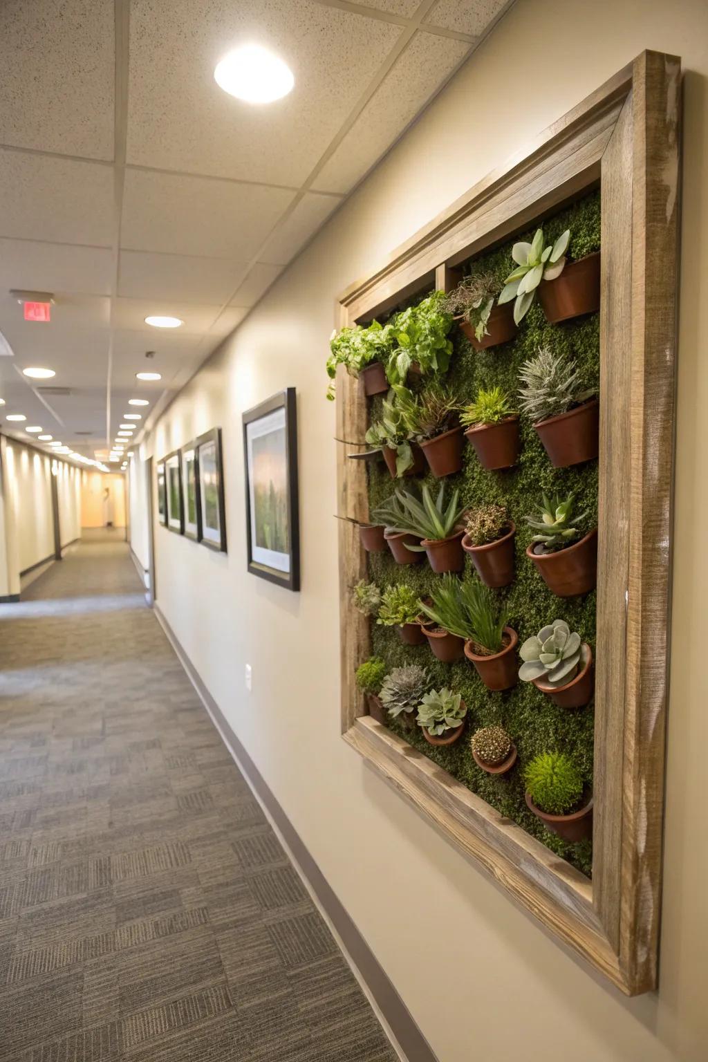 Succulents, elegantly framed as animate artistry, establish a captivating exhibition.