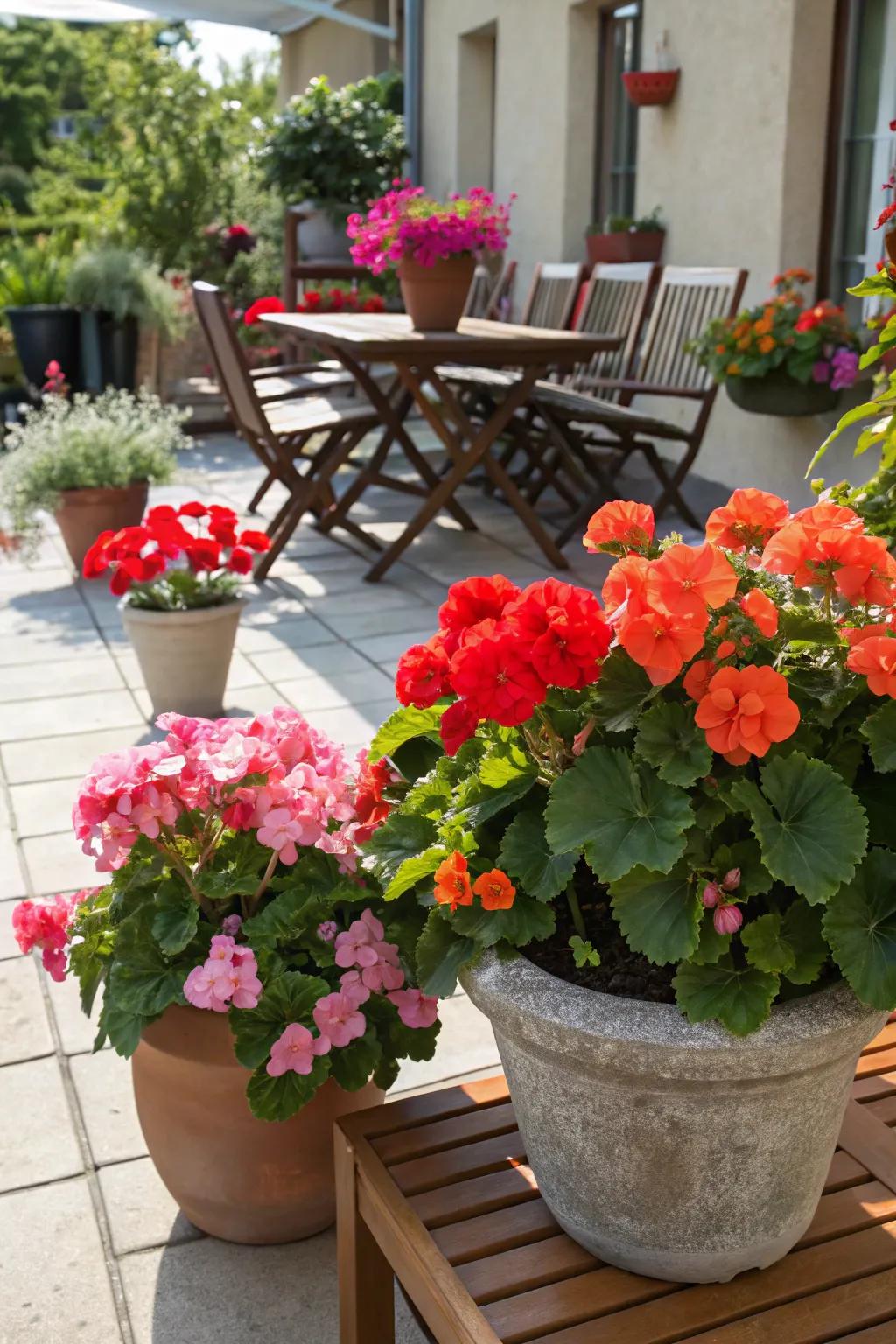 Illuminate your environment with vibrant floral arrangements ensconced within elegant receptacles.