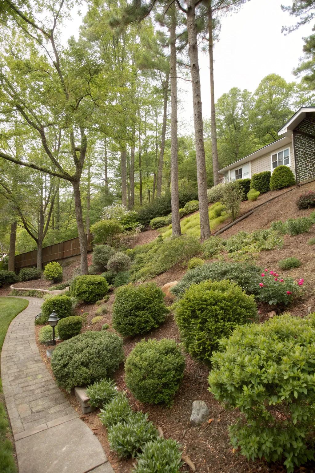 Bushes and trees conceive a verdant, stratified terrain.