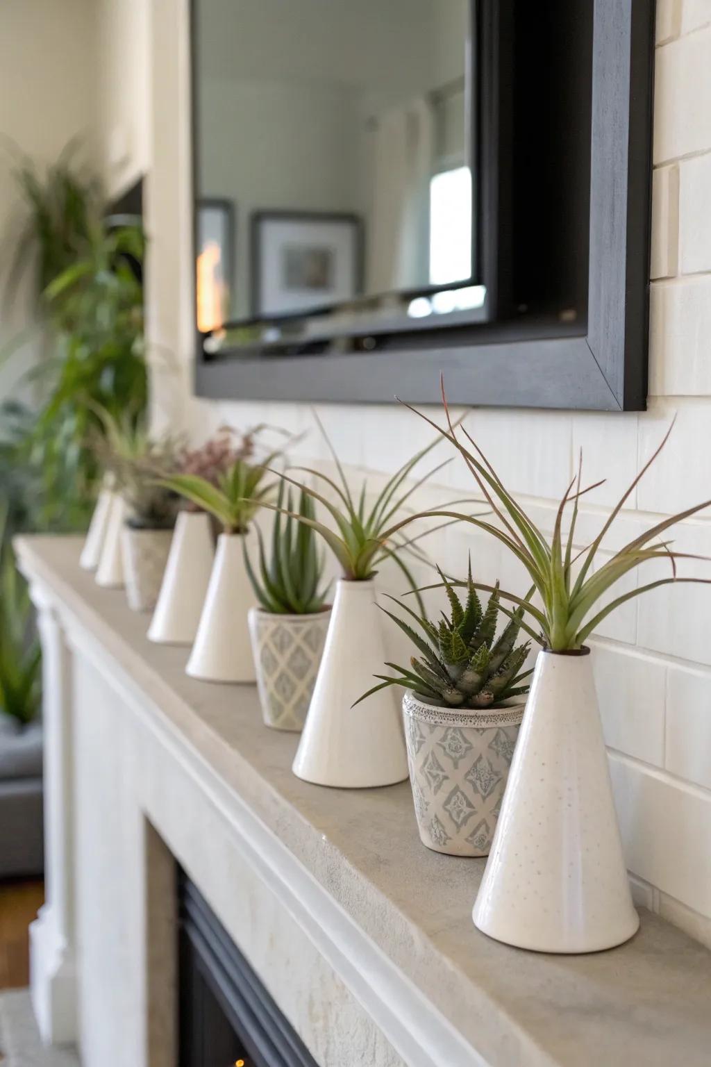 Ceramic cones furnish a streamlined and contemporary display for air plants.