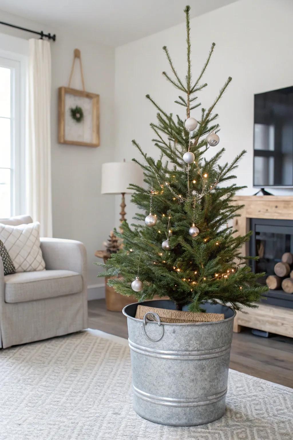 A metallic pail introduces industrial chic to your tree.