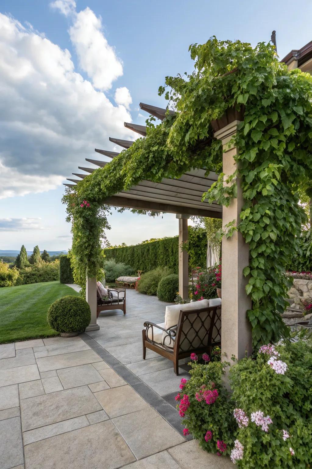 A lattice structure offers both shadow and a structure for beautiful climbing plants.