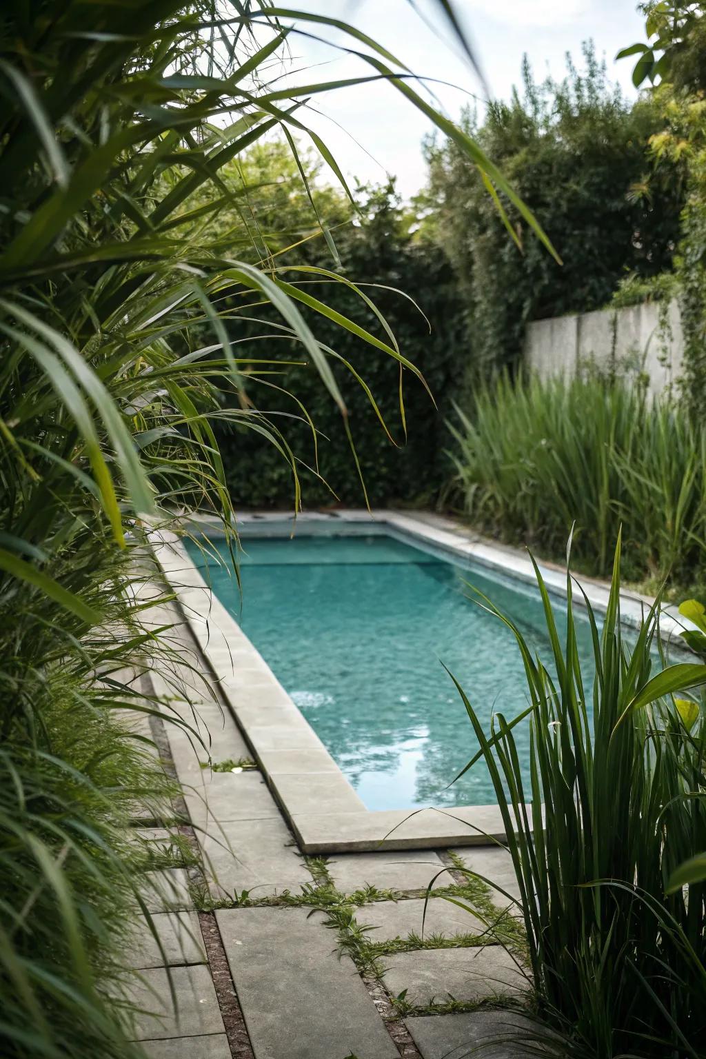 Lofty greenery delivers seclusion and enhances the pool's privacy.