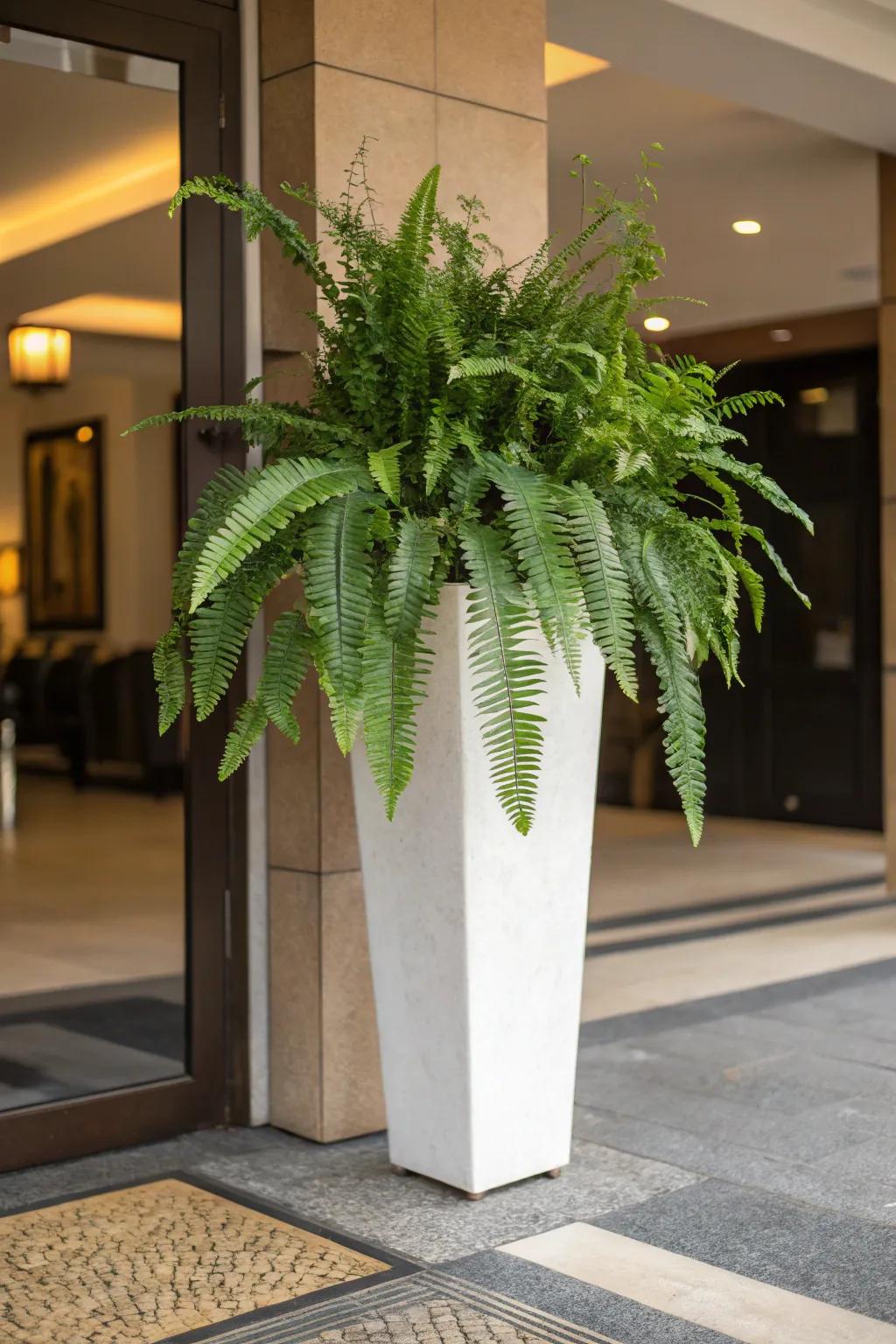 An independent statement piece can redefine any setting.