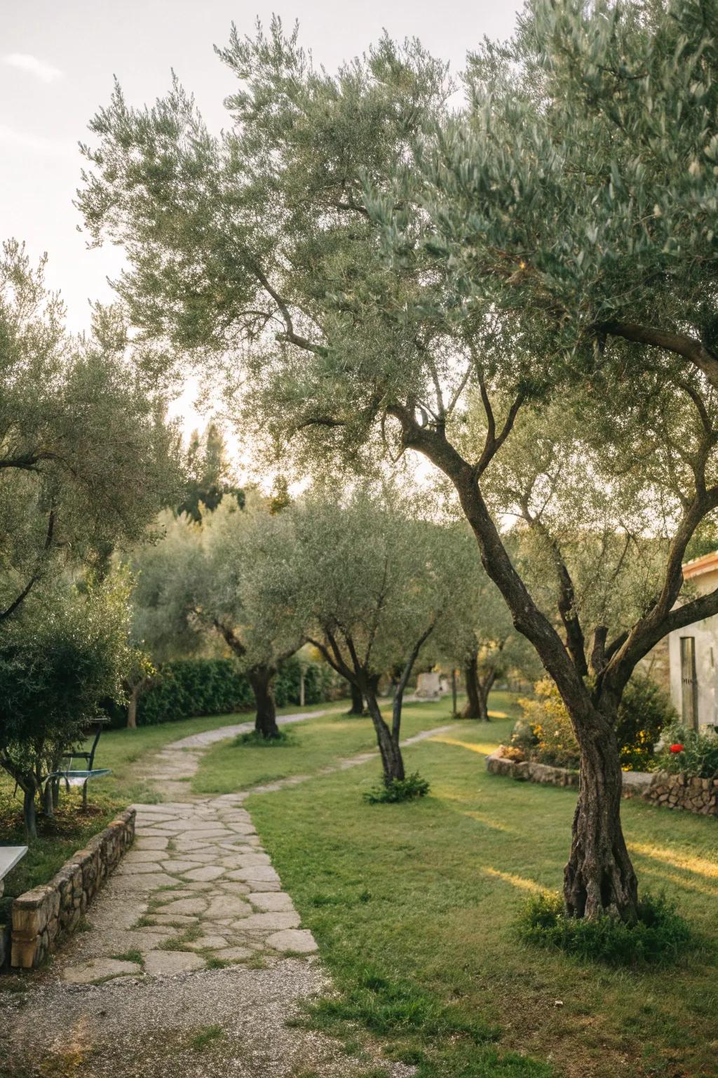 Construct a tranquil space using a cohesive assortment of trees.
