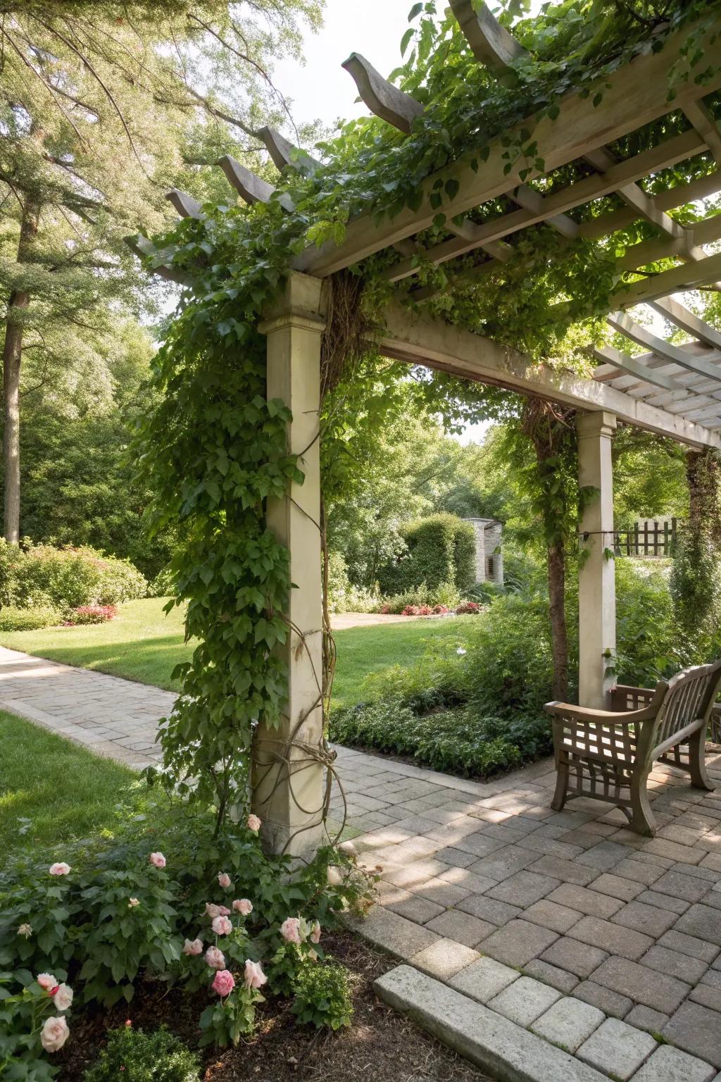 A pergola with ascending vines provides a shaded sanctuary.