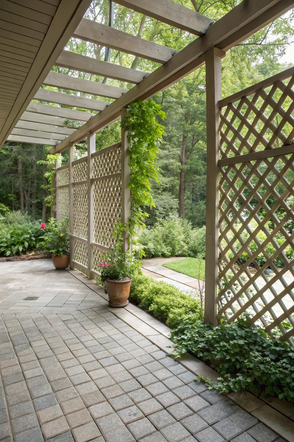 Chic lattice fencing offers a stylish boundary for your patio.