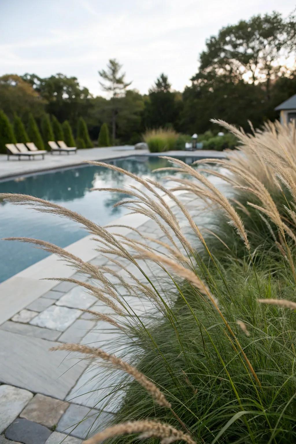 Ornamental grasses introduce a refined, natural touch to poolside arrangements.