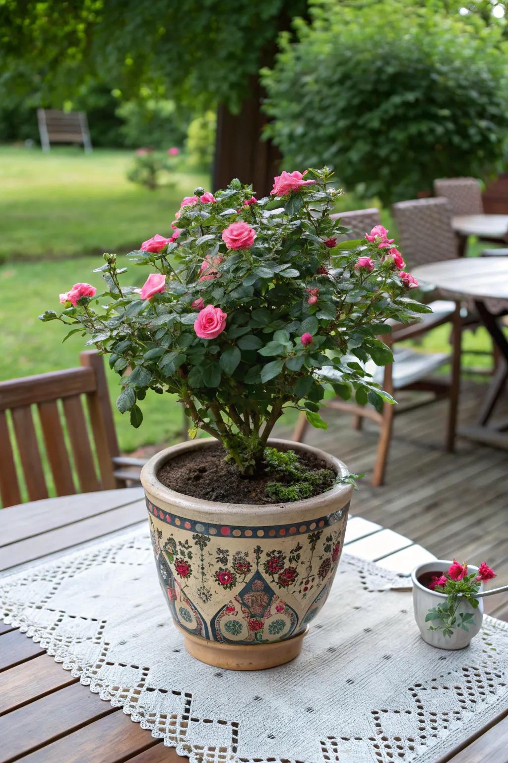 Appealing mini bloom shrubs, a fragrant and bright gift for mom.