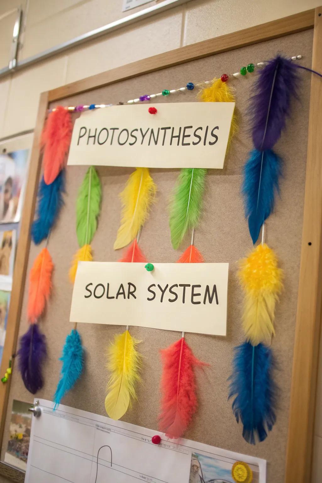 Plumed Companions showcasing a month's compilation of learning.