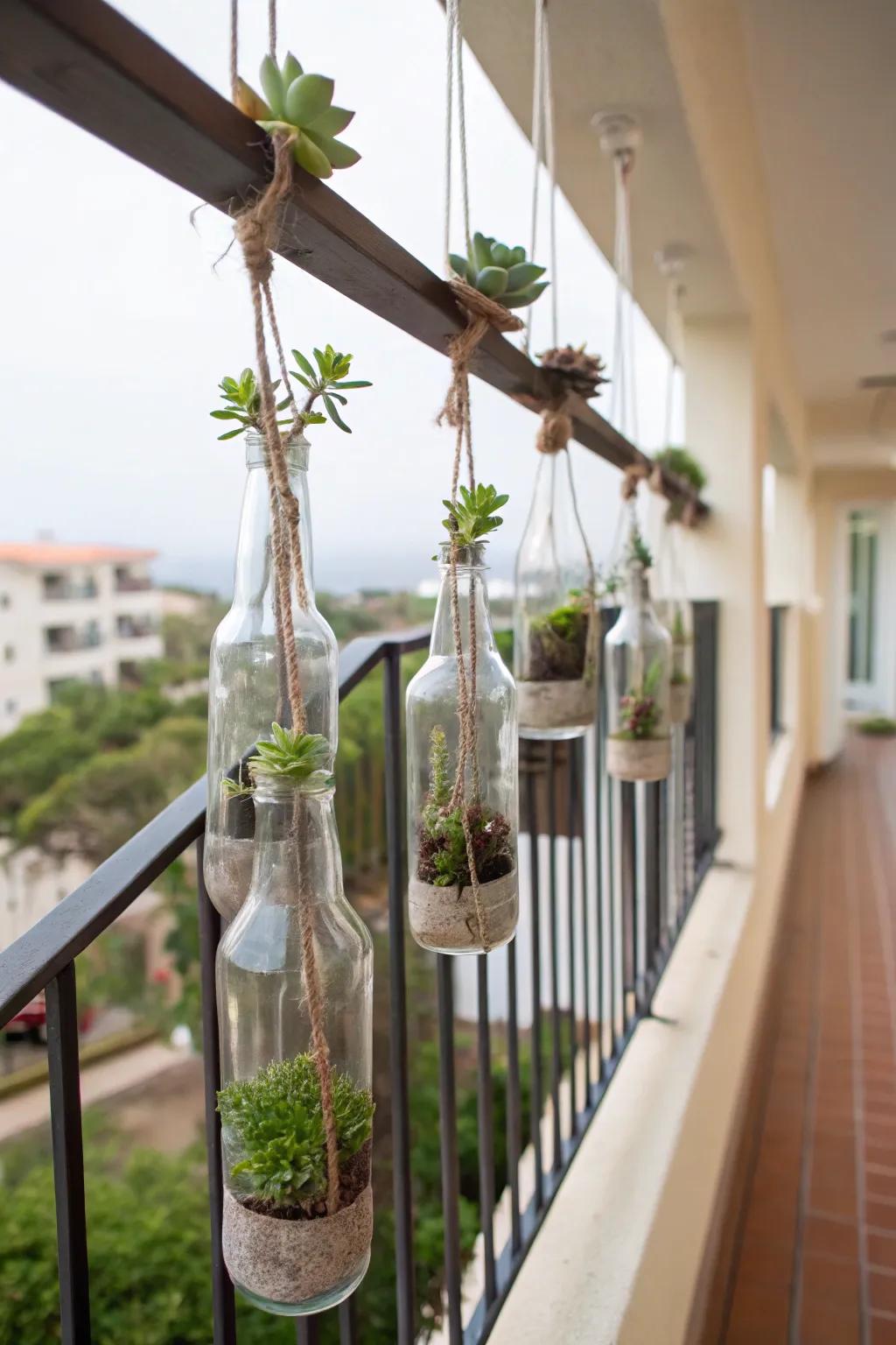 Suspended bottle gardens providing a vertical green display.