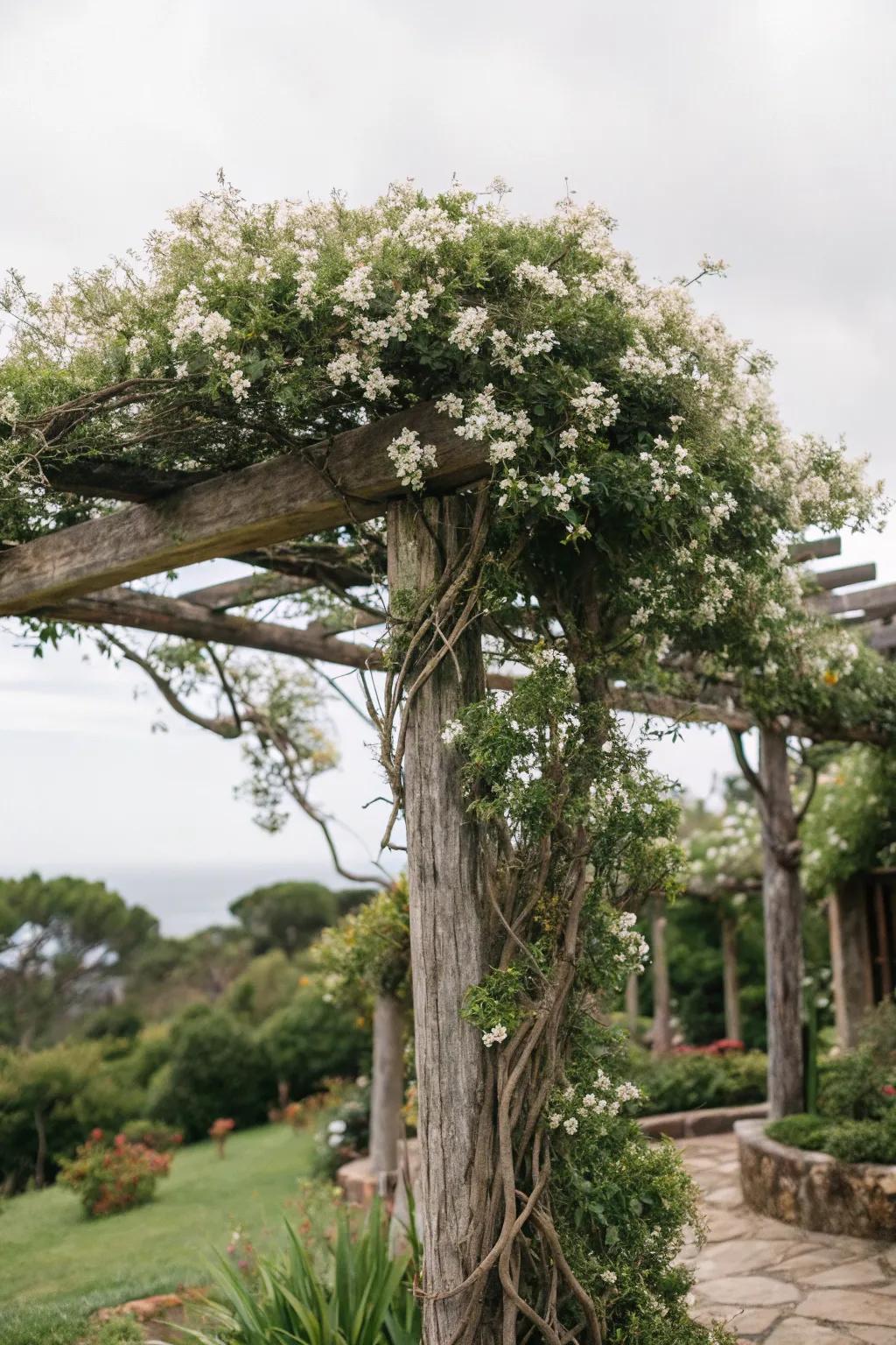 Embrace natural charm through a branch-crafted stargazer climbing frame.