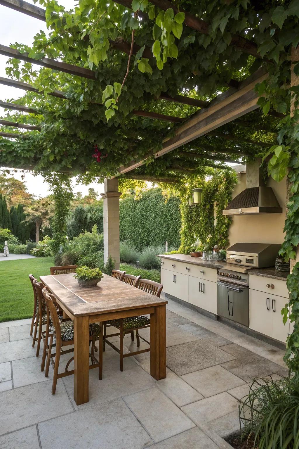 Climbing vines on a pergola establish a lush, natural shelter.